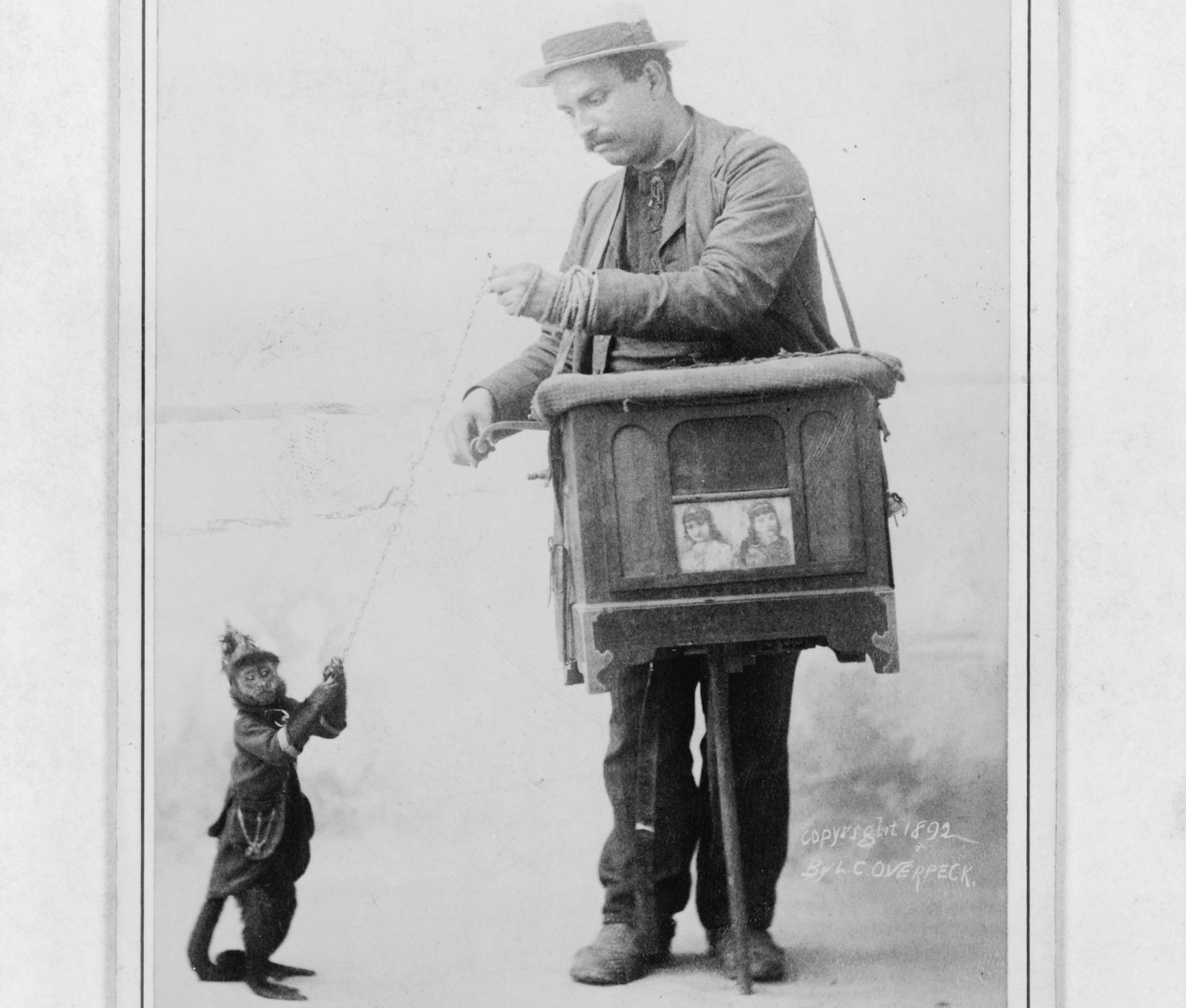Boy attacked by organ-grinder’s monkey in Dublin