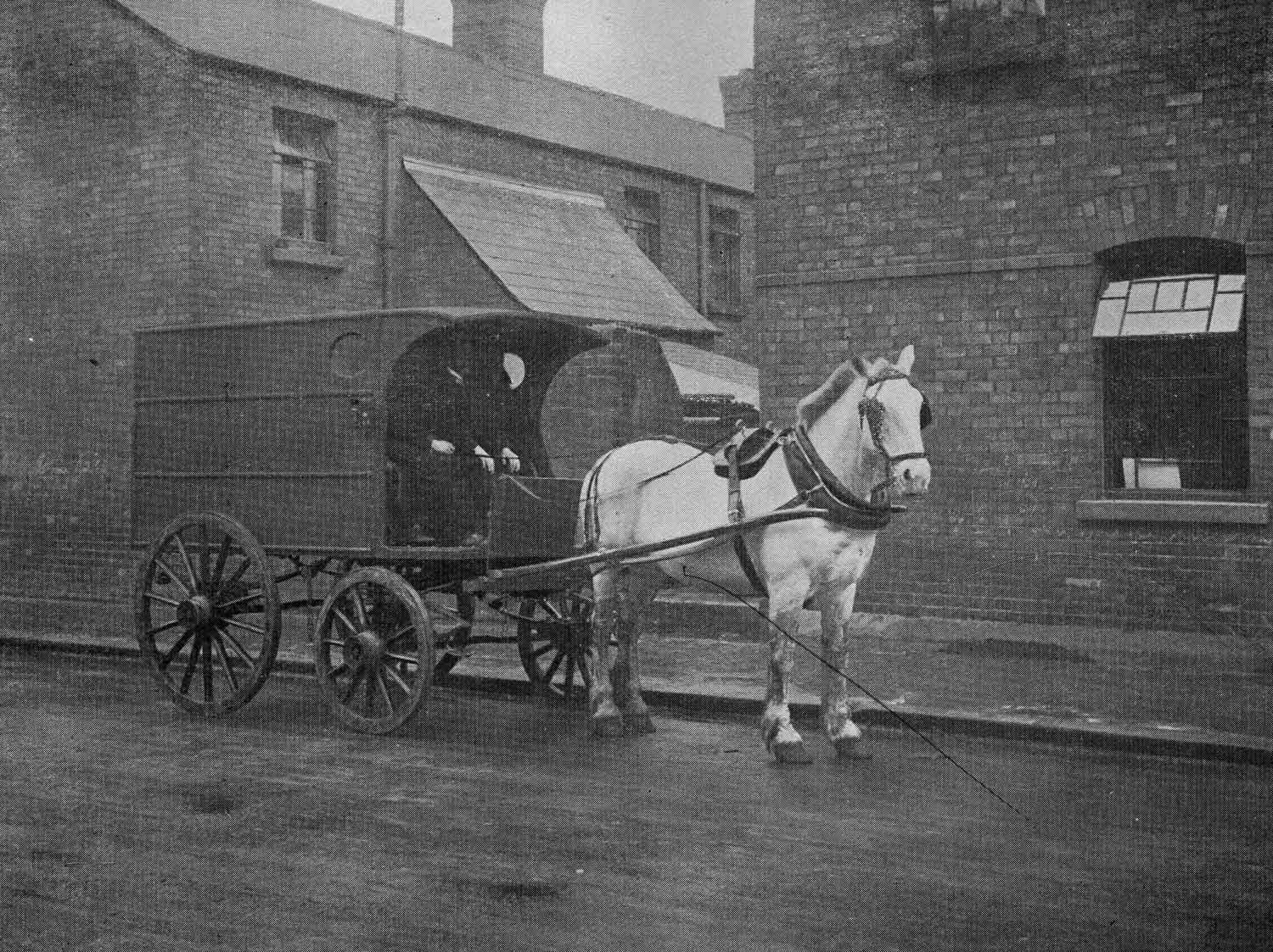 The end of the horse?