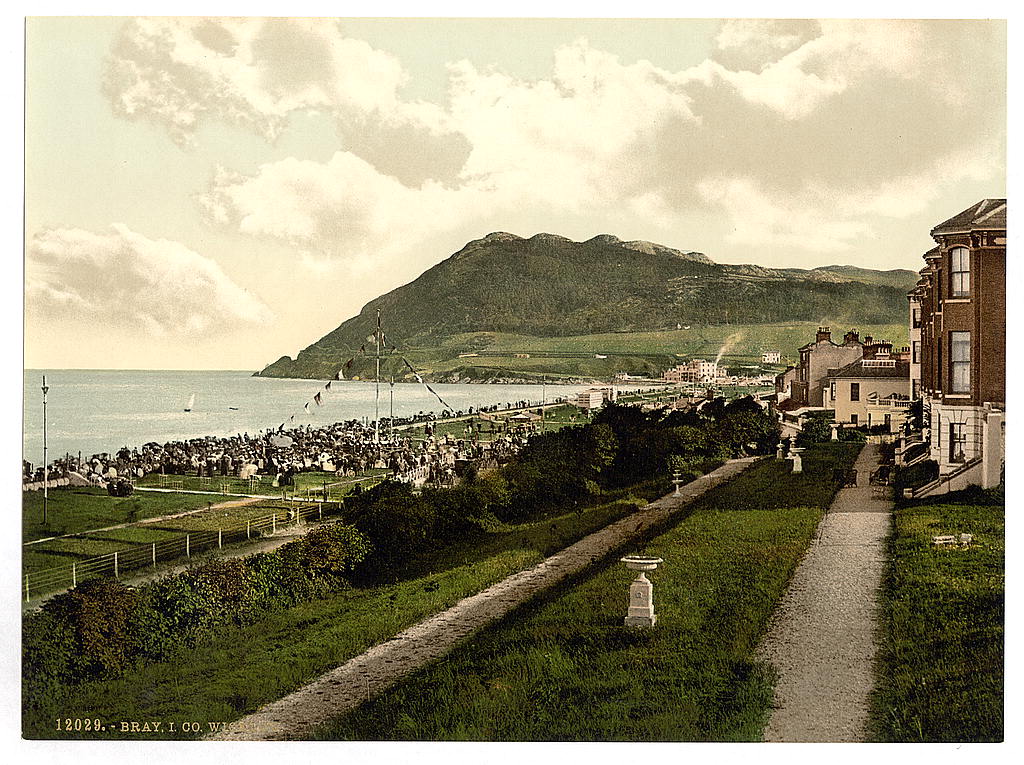 Bray to impose 8mph speed limit?