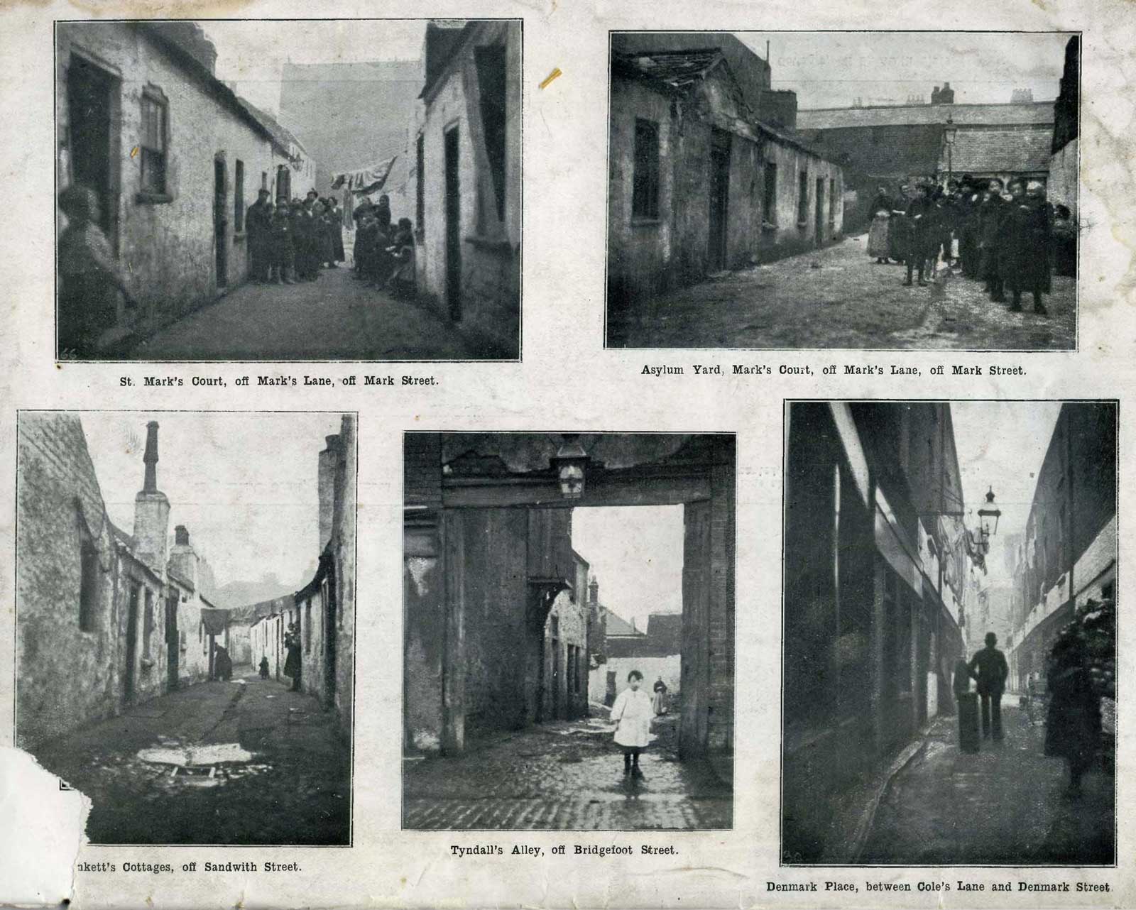 Photograph of Fourteen Dublin Corporation members own tenement houses