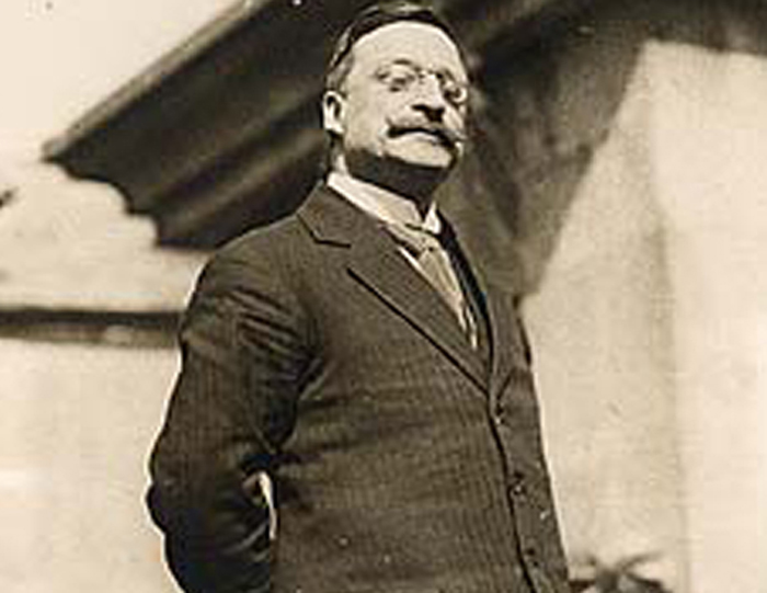 Shock death of Arthur Griffith from brain haemorrhage