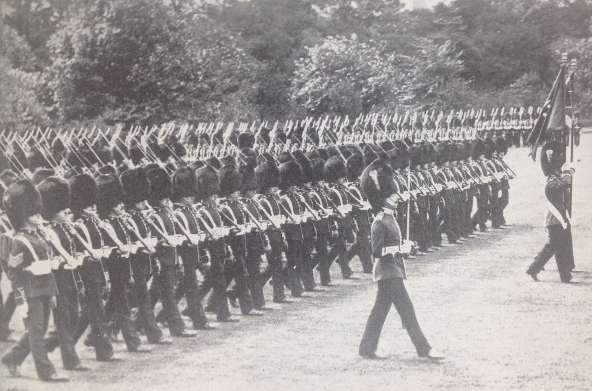 Photograph of Irish soldiers in France cheer for Home Rule
