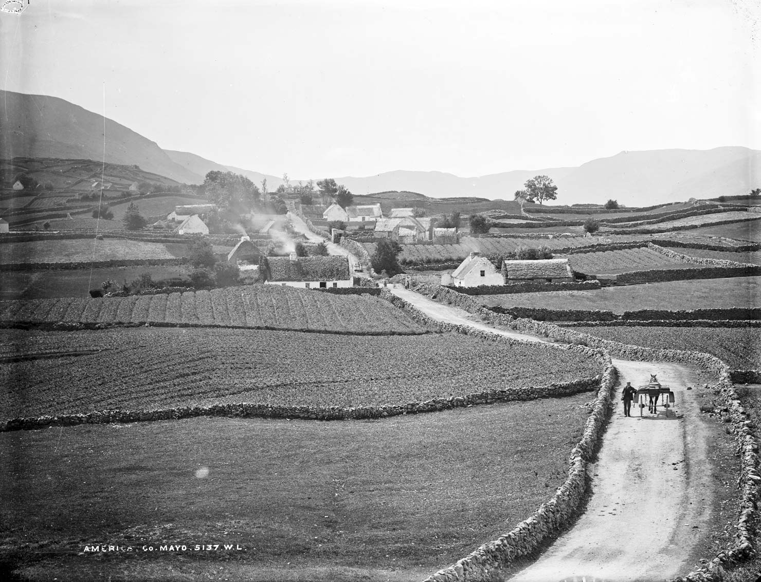 Irish farmers must switch to tillage