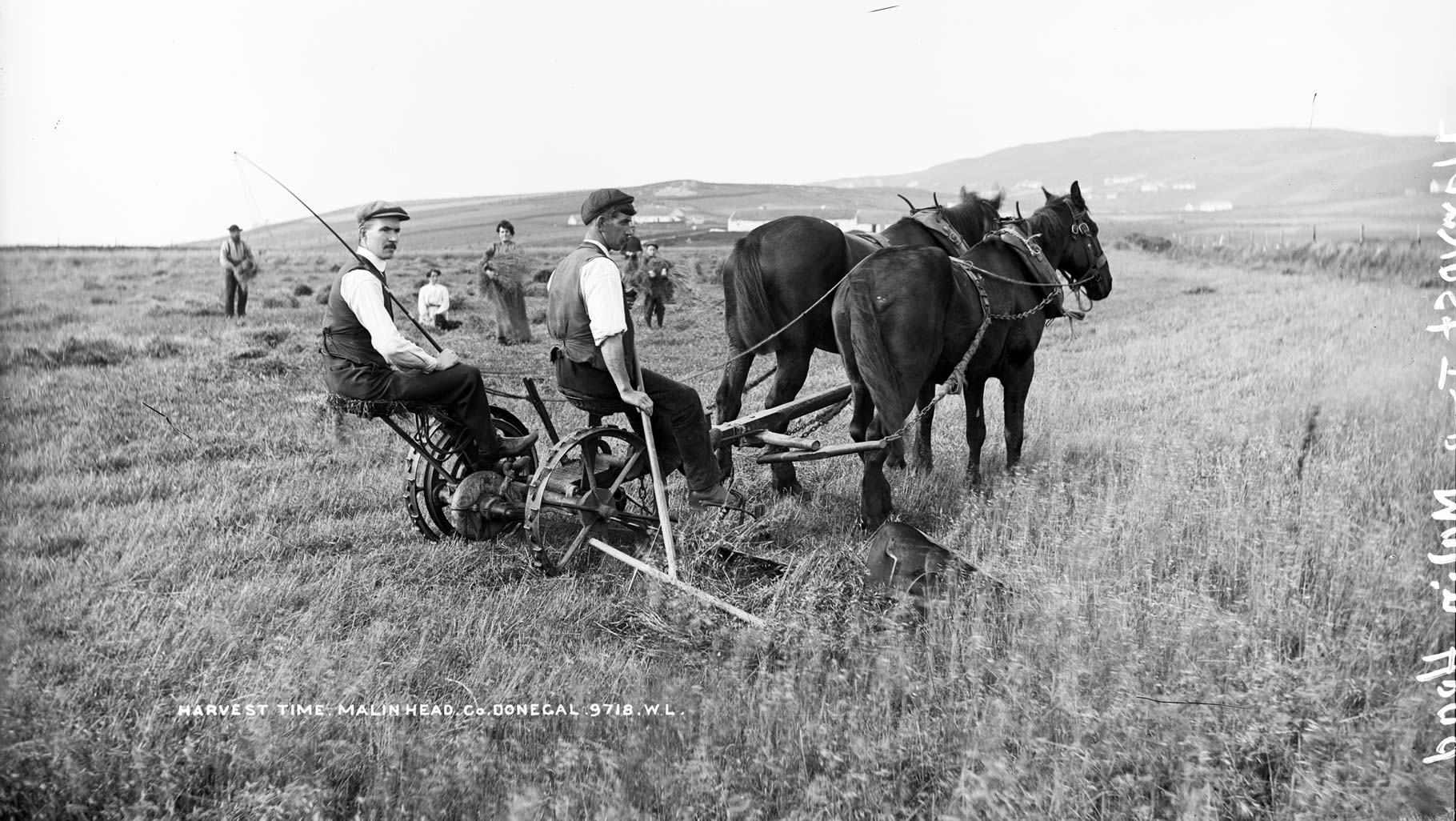 Increase in tillage continues in Ireland