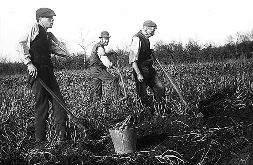Three labourers on the Clonbrock Estate, Ahascragh, Co. Galway c. 1900