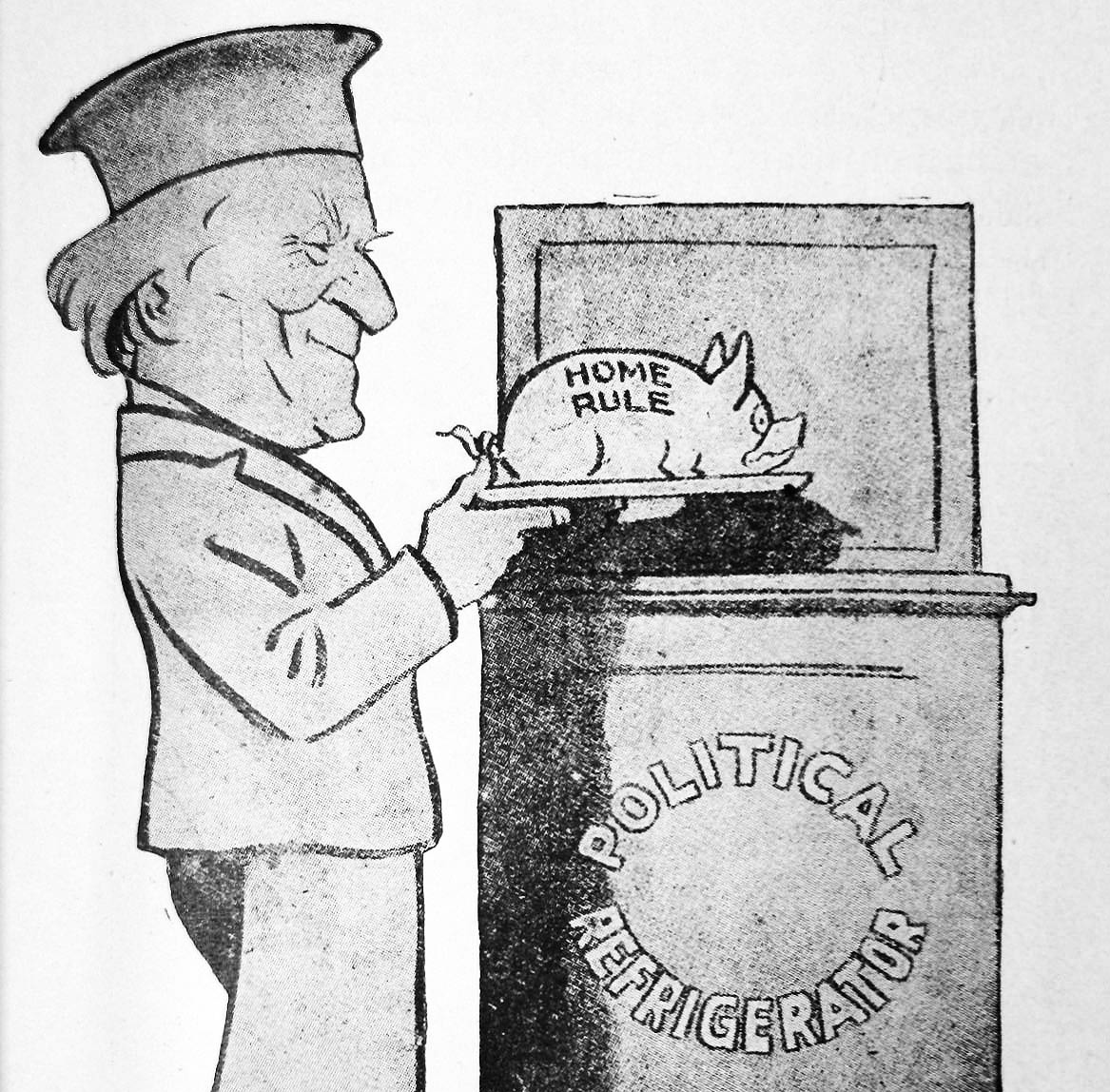 Irish Party will not join new coalition government