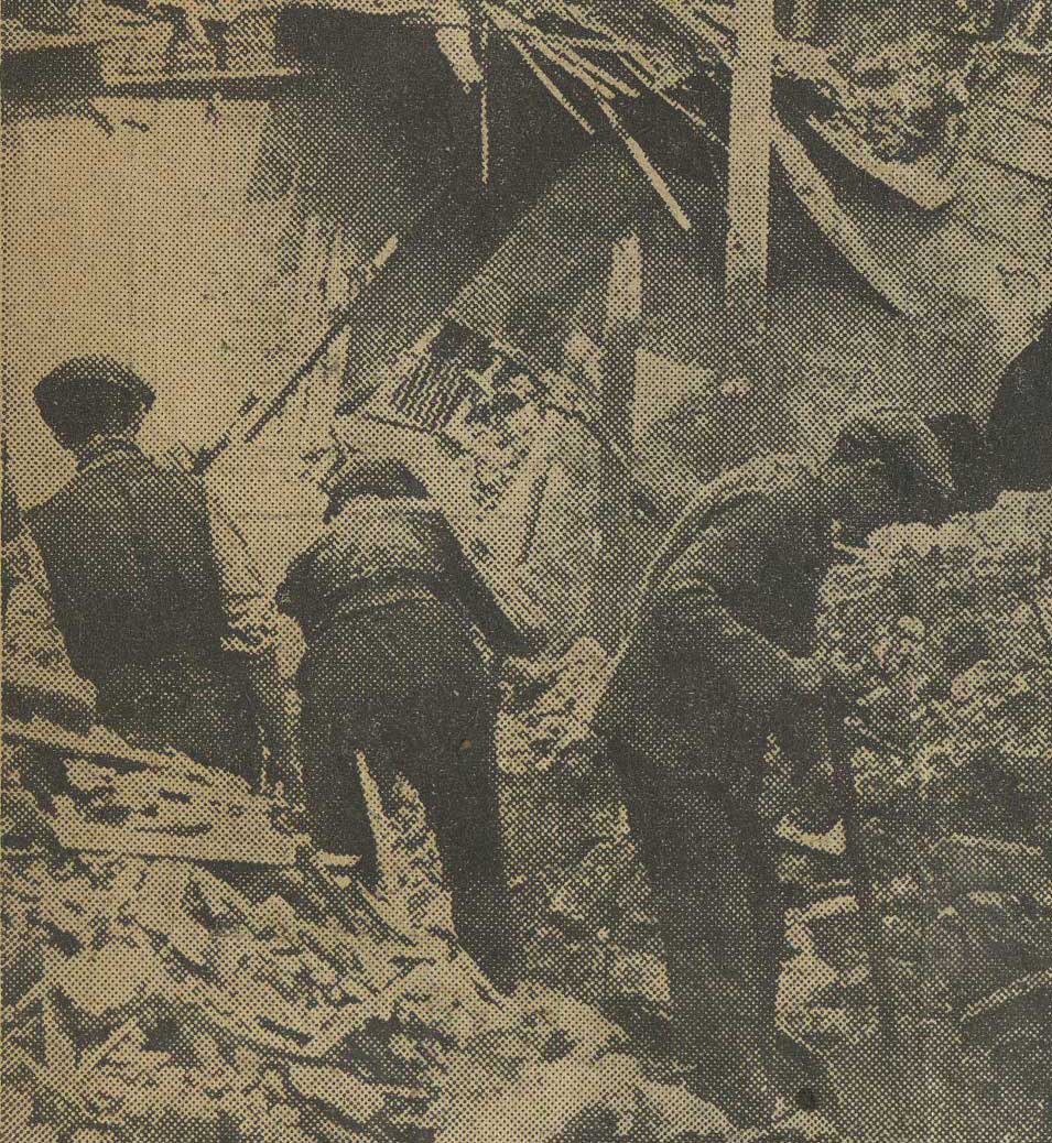 ‘The head and face was flattened out and the body was bruised, squashed...'