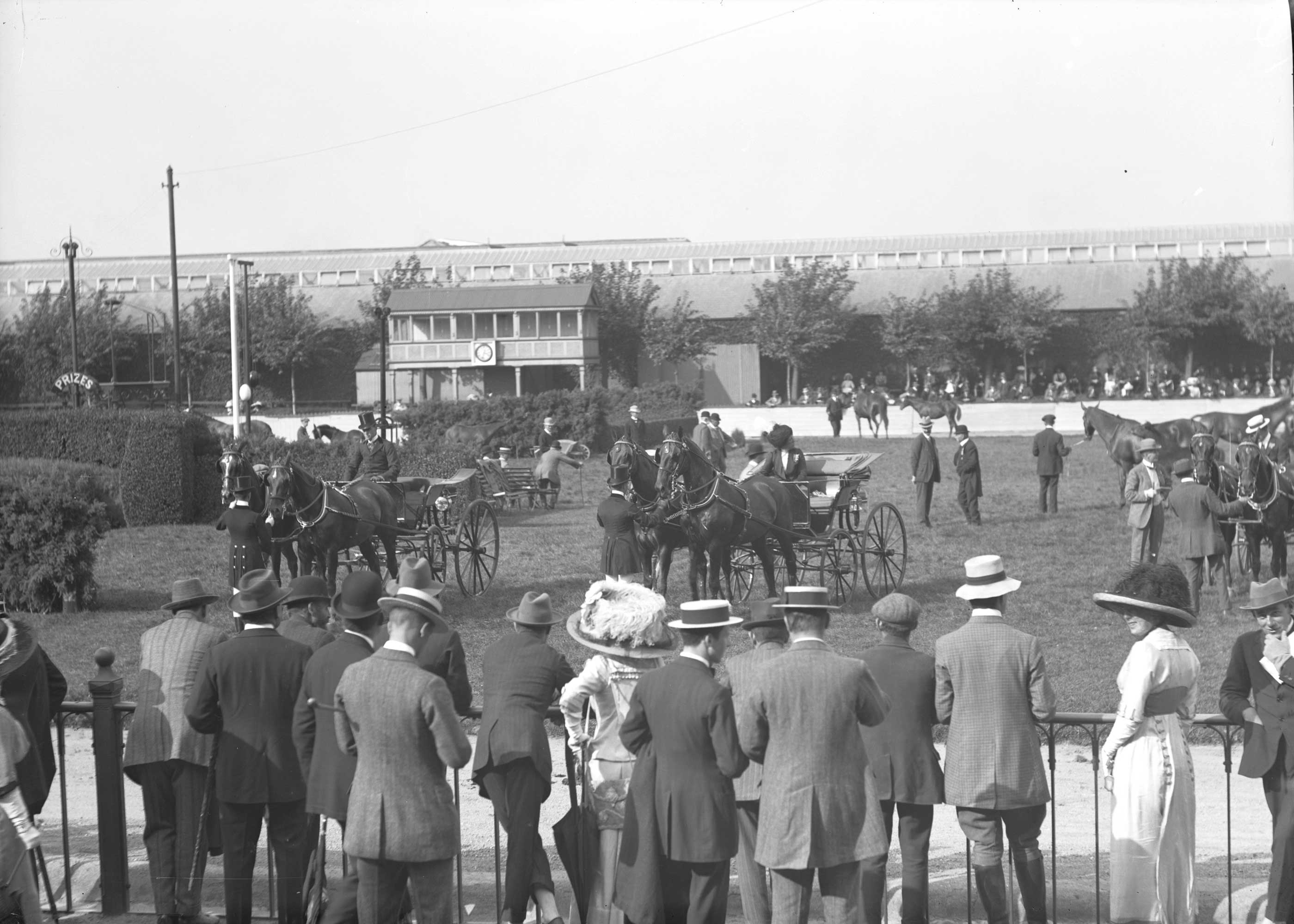 Big crowds expected as Horse Show gets under way at RDS