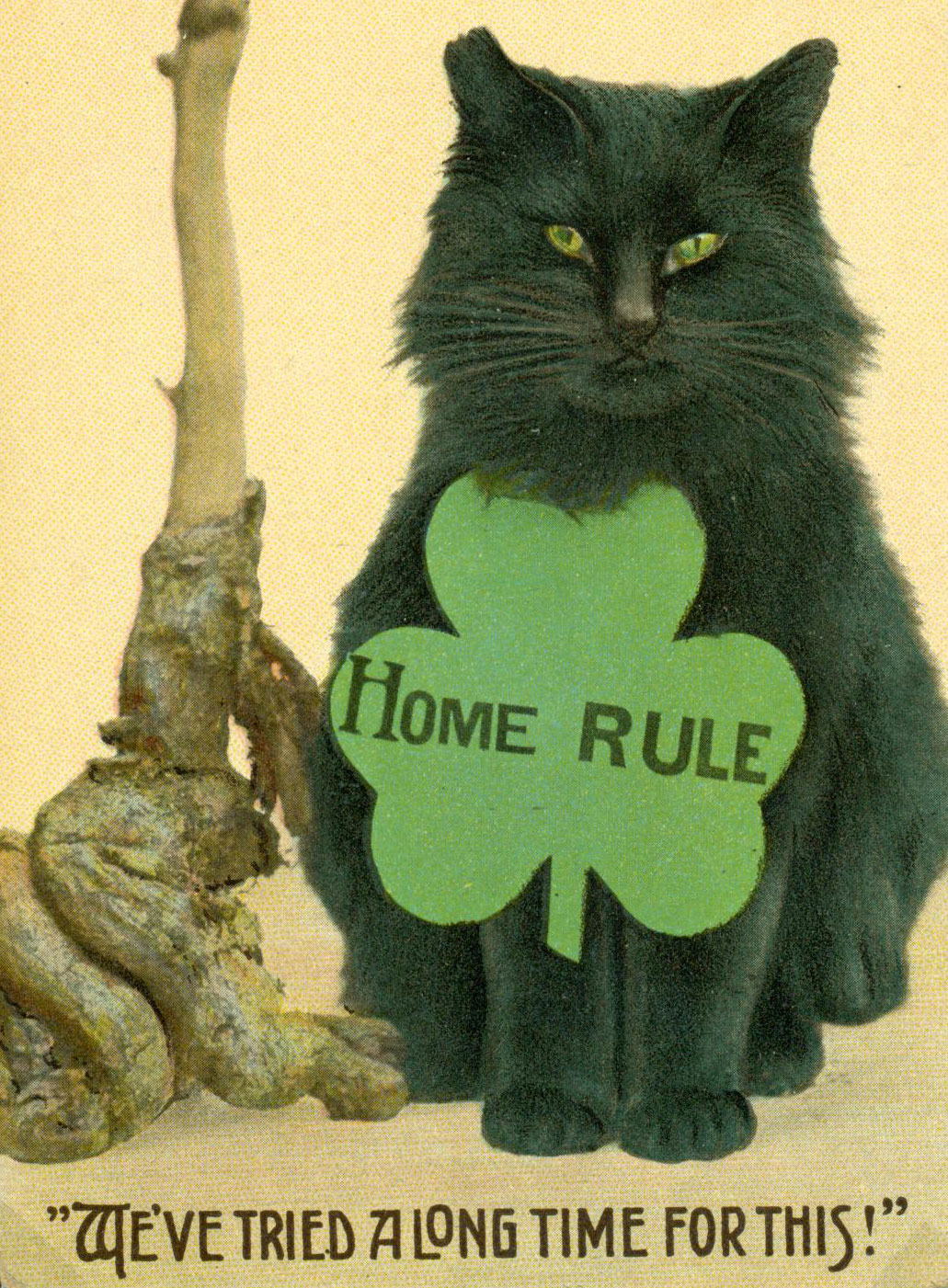 John Redmond: Home Rule is safe if Ireland is sane